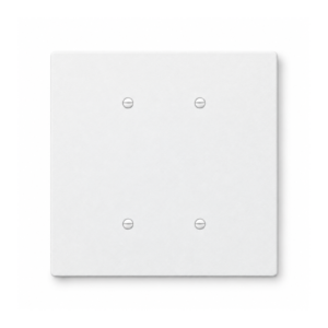 Jumbo Blank Electric Wall Plate