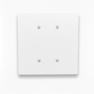 6x6-oversize-blank-electric-wall-plate-2-gang