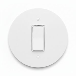 Extra Large Jumbo GFCI Receptacle Outlet Rocker Decora Paddle Switch 1 Gang