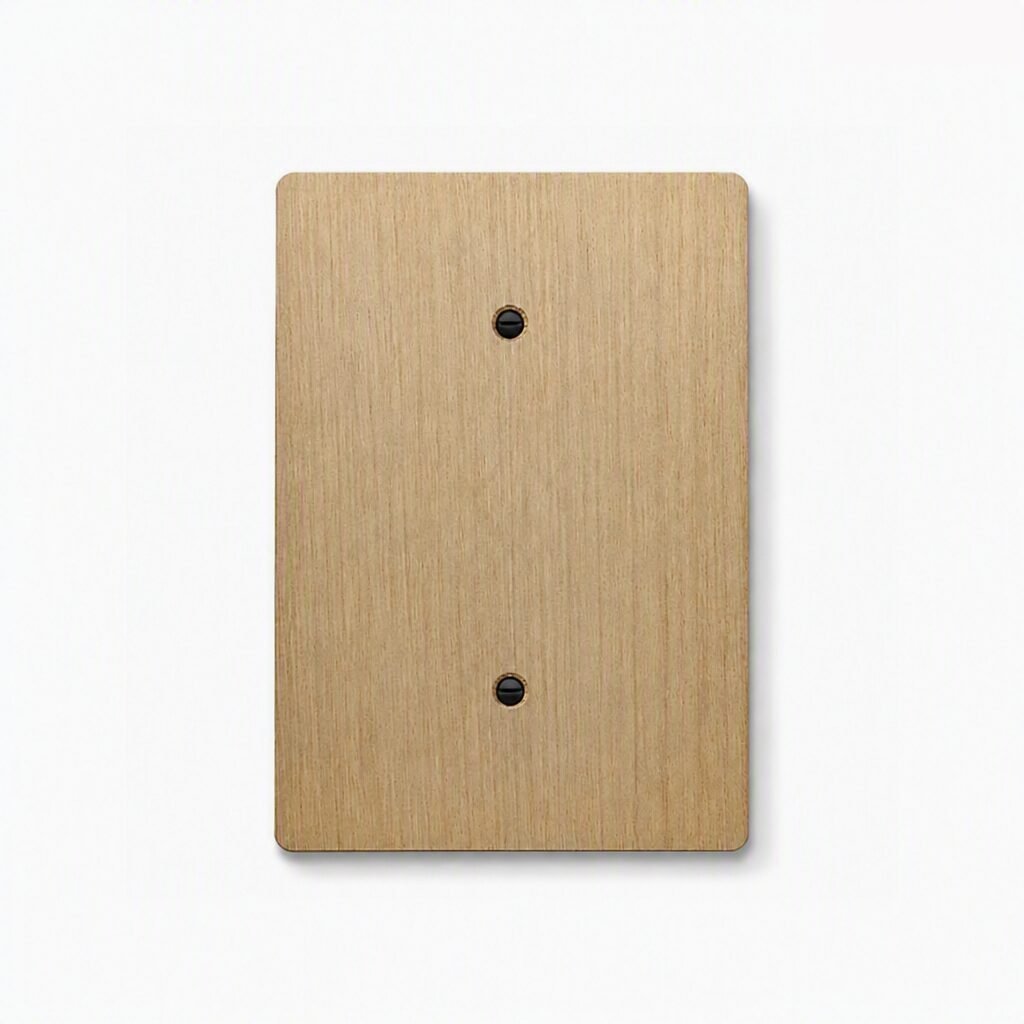 Paintable Wall Plate, Jumbo 4x6 Blank